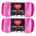 Red Heart Super Saver Jumbo Lot de 2 pelotes de laine Jazzy