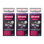 Sambucol Black Elderberry Extract For Kids 120ml x 3