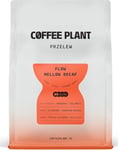 Kaffeväxt Kavos Augalas - Flow Mellow Decaf Filter 250G