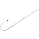Grazia LED Strip vit 45W 8100lm 3000K CRI90 5M 24V IP20