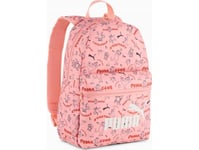 Pleack Puma Phase 091324-02