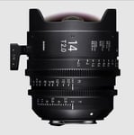 Sigma 14mm T2 FF Fully Luminous Metric - Canon Mount