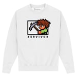 Terraria Unisex Vuxen Survivor Sweatshirt