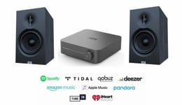 WiiM AMP PRO &  Elac Debut 3.0 B6.3 Stereopaket