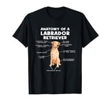 Labrador Retriever Mom Labbi Anatomy Of A Labrador Retriever T-Shirt