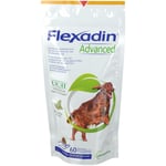 Flexadin® Advanced Chien