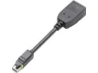 Pny - Displayport-Adapter - Mini Displayport Till Displayport - Grå