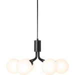 Apiales 6 Ljuskrona, Satin Black / Opal