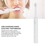 Waterproof Adult Electric Toothbrush Ultrasonic Sonic Toothbrush USB UK