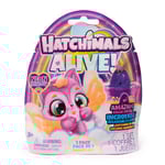 Hatchimals - Alive Neon Rainbow 1 Pack Asst. - (6072752)