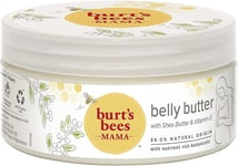 Burt's Bees Stretch Mark Cream & Pregnancy Belly Butter, With Nourishing Shea &