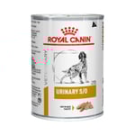 RCV Dog Wet Urinary S/O Loaf 410g 12-pack
