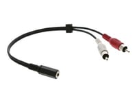 Kramer C-A35f/2Ram Series C-A35f/2Ram-1 - Ljudkabel - Sammansatt Ljud - Rca X 2 Hane Till Mini-Phone Stereo 3.5 Mm Hona - 30 Cm