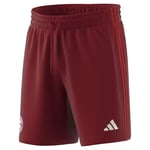 Adidas Fc Bayern Munich Dna 24/25 Shorts  L