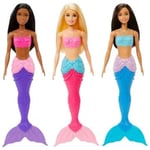 Barbie Asst Dreamtopia Docka (HGR04)