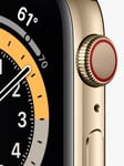 Apple Watch Series 6 GPS + Cellular, 44mm Gold Stainless Steel Case with Milanese Loop unisex