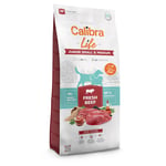 Calibra Life Junior Small & Medium Breed med färskt nötkött - Ekonomipack: 2 x 12 kg
