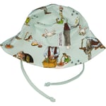 Solhatt Pettson och Findus Mint 2-6Y