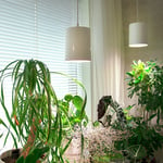 Airam Växtbelysning FIORA Vit LED
