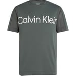 Calvin Klein Sport Pique Gym T-shirt Grön X-Large Herr