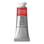 Winsor & Newton Professional Watercolour Paint, Artist Quality, Finest Pigments, Brown Madder, 14 ml Tube