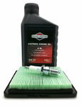 Service Kit Suitable For Flymo Xl500 Petrol Lawn Mowers With Honda Gcv Engine