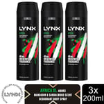 Lynx XL Africa 48H Squeezed Mandarin & Sandalwood Scent Body Spray Deo, 3x200ml