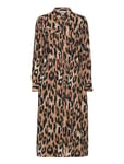 Frleoni Dr 1 Brown Fransa