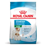 Royal Canin Mini Starter hundemat