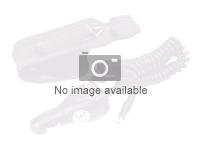 Hewlett Packard – Poly Savi 7310 Mono D2 Top EMEA-INTLEng (8Y9B6AA#ABB)