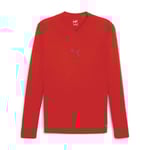 PUMA Teamgoal Maillot de Corps L T-Shirt Performance Mixte, Rouge Rapide, XL