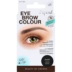 Depend Eyebrow Colour Svart Ögonbrynsfärg 1 st