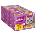 Megapakke Whiskas 1+ 48 x 100/85 g g Porsjonsposer - Fjærkreutvalg i gelè (48x85g)