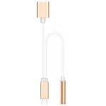 2 In 1 Lightning 3.5mm Jack Headphone Adapter Charger Cable