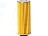 Nilfisk Patronfilter För Futura 6700 Cm²
