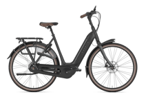 Gazelle Arroyo C8 HMB Elite 500Wh 46