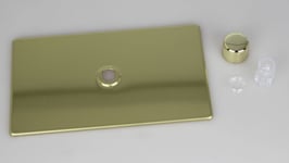 Varilight WDVD1S Matrix Faceplate Kit, screwless polished brass, 1-gang