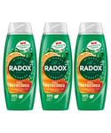 Radox Mens Shower Gel Feel Refreshed With Eucalyptus & Citrus Scent 450 ml, 3 Pack - NA - One Size