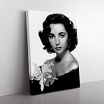 Elizabeth Taylor No.1 Modern Canvas Wall Art Print Ready to Hang, Framed Picture for Living Room Bedroom Home Office Décor, 76x50 cm (30x20 Inch)