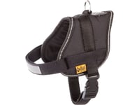 Dino Collar 22Mm/45Cm Black Av Läder