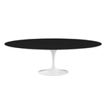 Knoll - Saarinen Oval Table - Matbord 244 x 137 cm Vitt underrede skiva i Svart laminat - Matbord