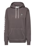 The Original Hood Sport Sweat-shirts & Hoodies Brown Quiksilver