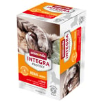 Ekonomipack: Animonda Integra Protect Adult Renal 24 x 100 g portionsform kalvkött