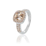 Gynning Jewelry Glamorous ring - champagne - Silver 16,5