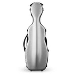 Eastman CAVL30 Silver 4/4 Violin etui