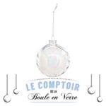 FEERIC Lights and Christmas - Boule DE Noel Verre 100MM Interieure Plume BL