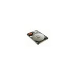 MicroStorage"100GB 2.5 IDE Hard Drive (IDE/ATA)