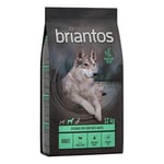 2 x 12 kg viljaton Briantos-koiranruoka erikoishintaan! - Briantos Adult lammas viljaton (2 x 12 kg)