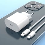 Chargeur Rapide iPhone USB C 20W avec Cable 1M pour iPhone 13-13 Mini-13 Pro-13 Pro Max-12 11, Adaptateur Type C Prise Secteur[1352]