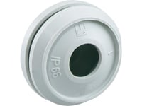 Spelsberg Membrantylle Dms M20 For Kabel Ø 7-12 Mm Ip66 Grå Thermoplast